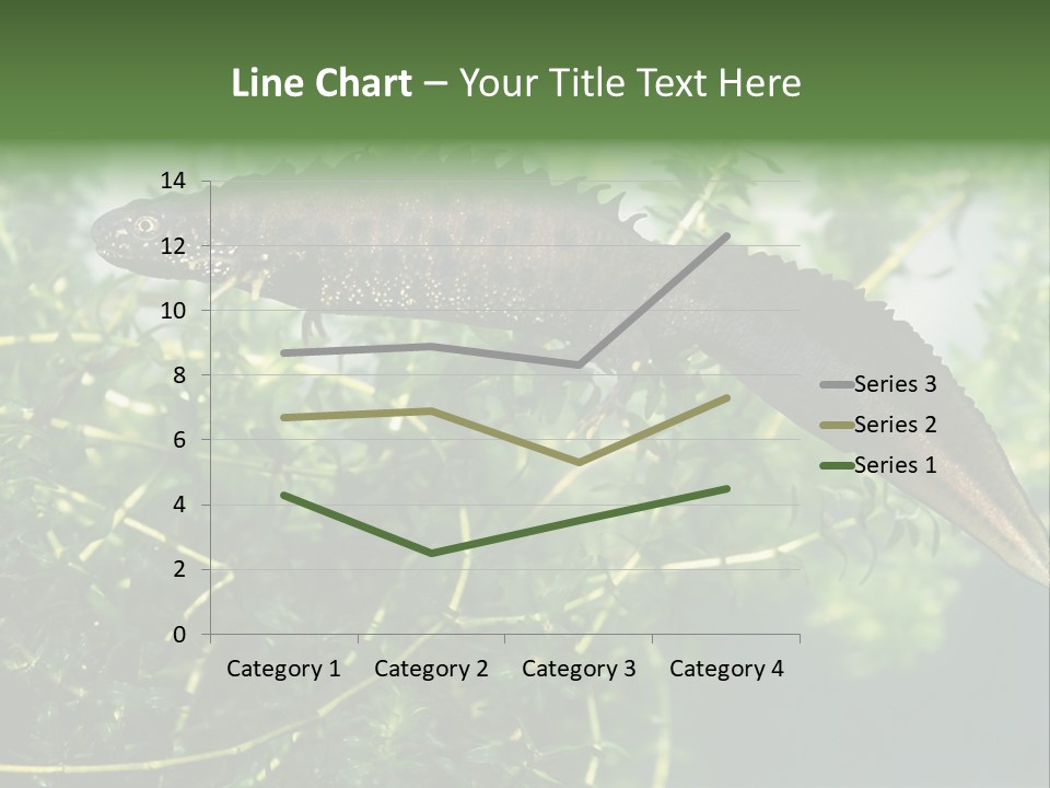 Male Of Great Crested Newt (Triturus Cristatus). His Skin's Color And Crest Is Typical For Breeding Time. PowerPoint Template