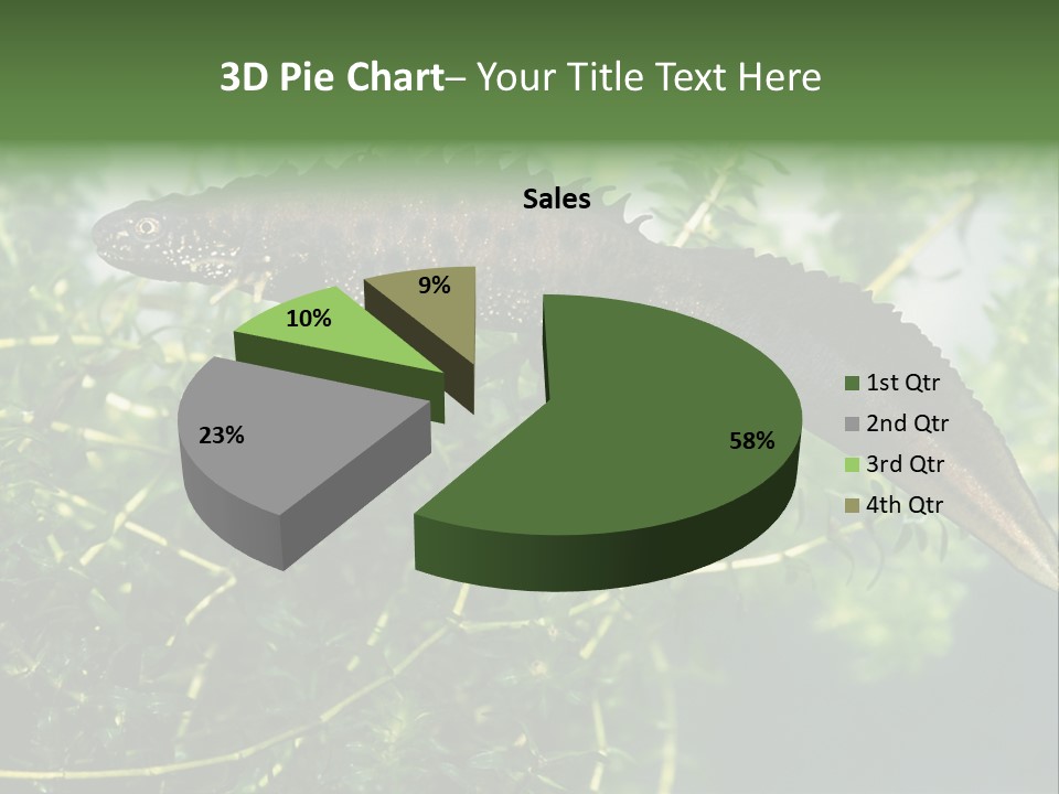 Male Of Great Crested Newt (Triturus Cristatus). His Skin's Color And Crest Is Typical For Breeding Time. PowerPoint Template