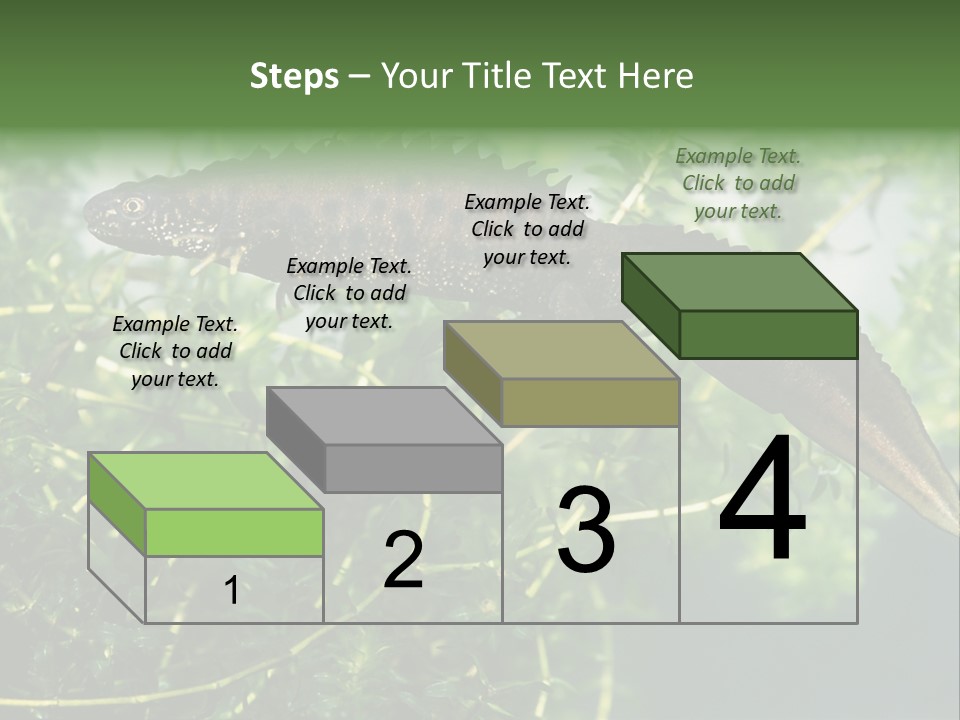 Male Of Great Crested Newt (Triturus Cristatus). His Skin's Color And Crest Is Typical For Breeding Time. PowerPoint Template