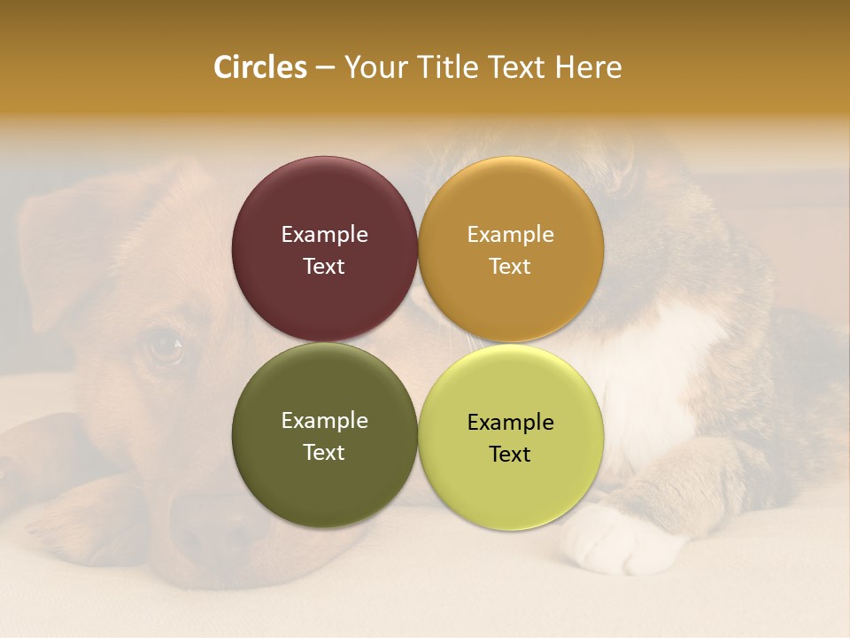 Cat And Dog Resting Together On Bed PowerPoint Template