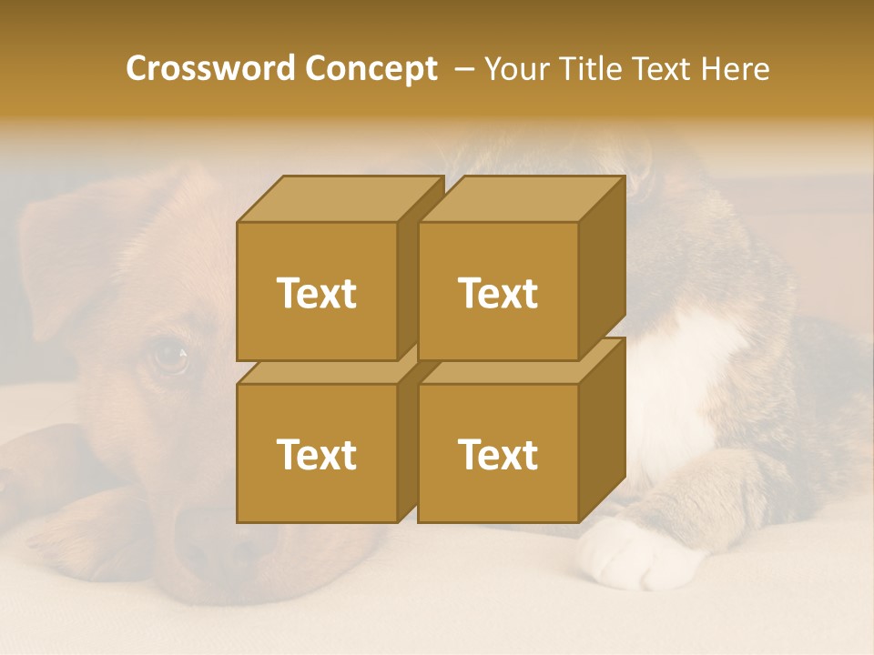 Cat And Dog Resting Together On Bed PowerPoint Template