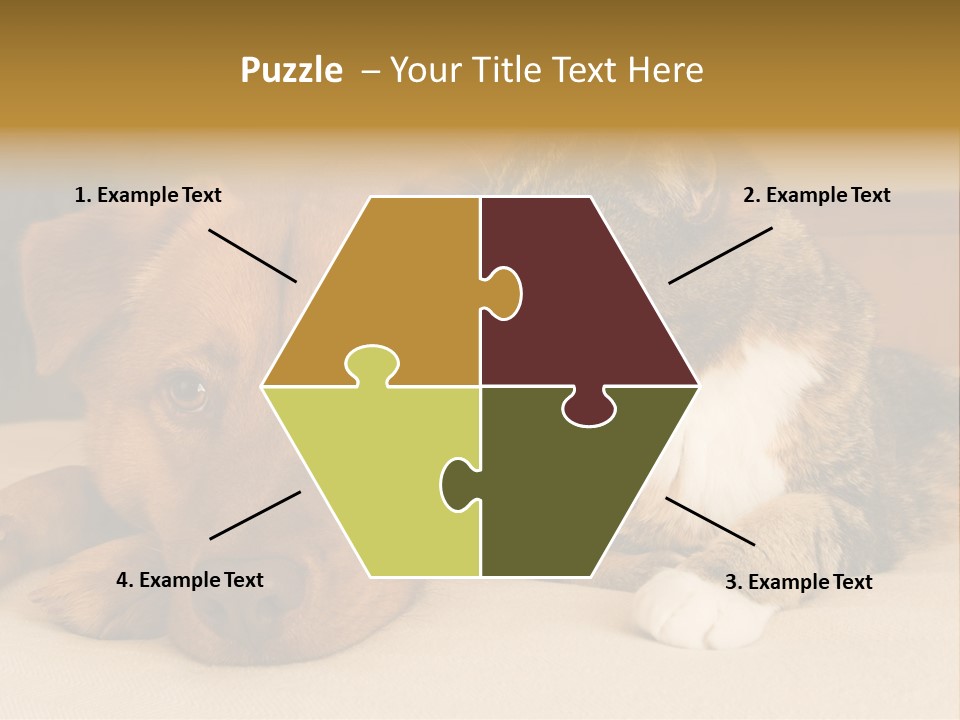 Cat And Dog Resting Together On Bed PowerPoint Template