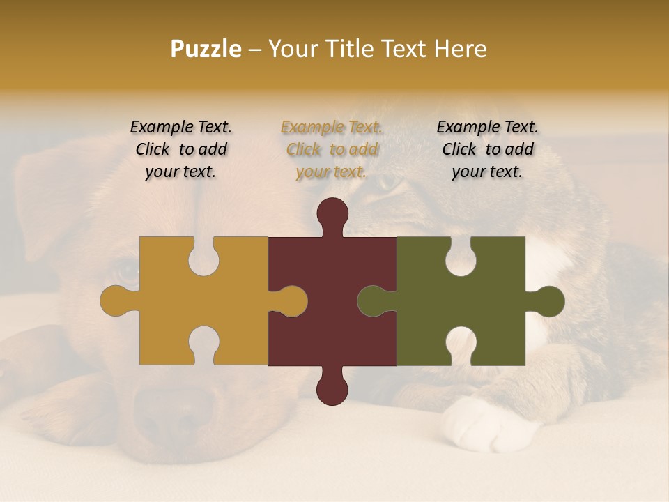 Cat And Dog Resting Together On Bed PowerPoint Template