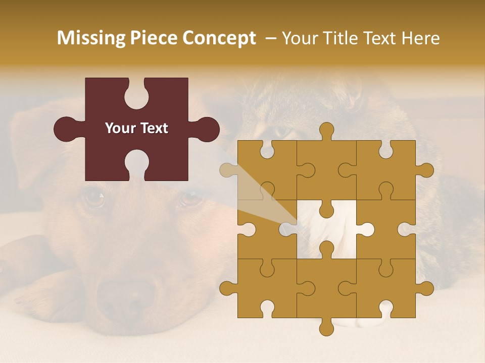 Cat And Dog Resting Together On Bed PowerPoint Template