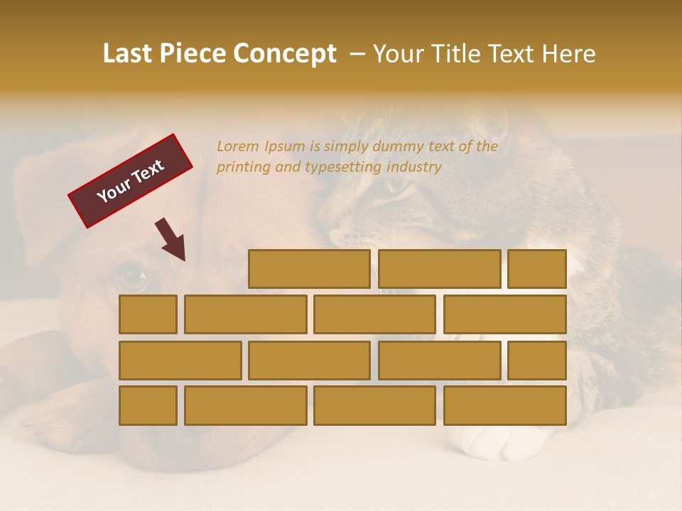 Cat And Dog Resting Together On Bed PowerPoint Template