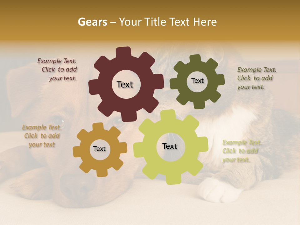 Cat And Dog Resting Together On Bed PowerPoint Template