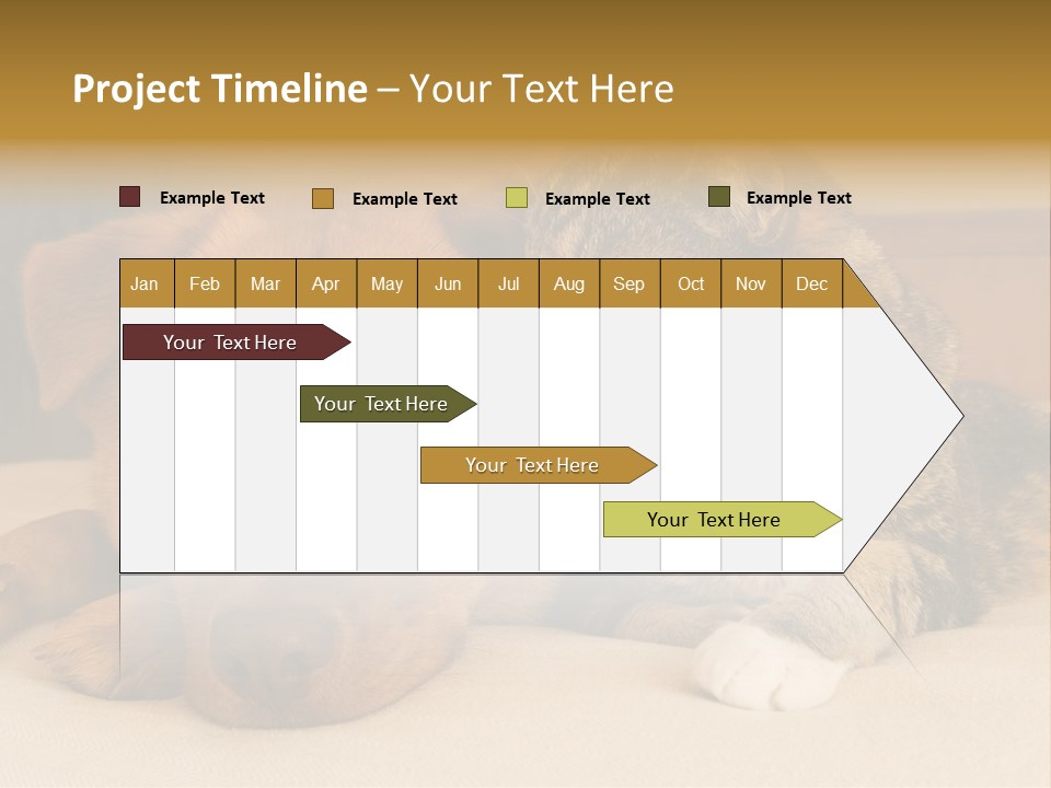 Cat And Dog Resting Together On Bed PowerPoint Template