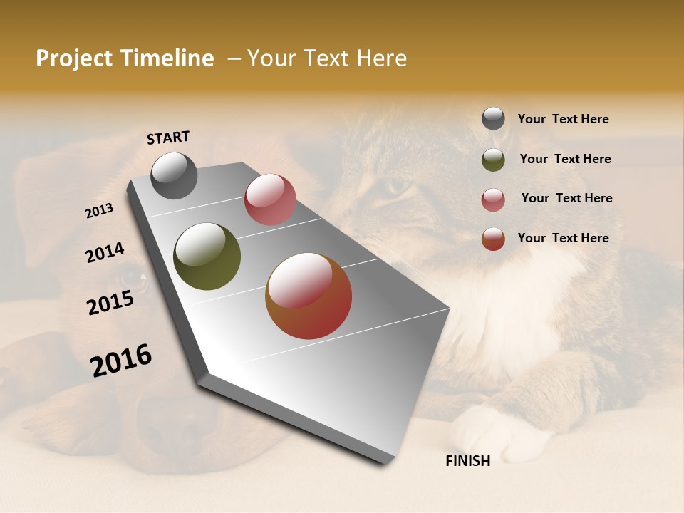 Cat And Dog Resting Together On Bed PowerPoint Template