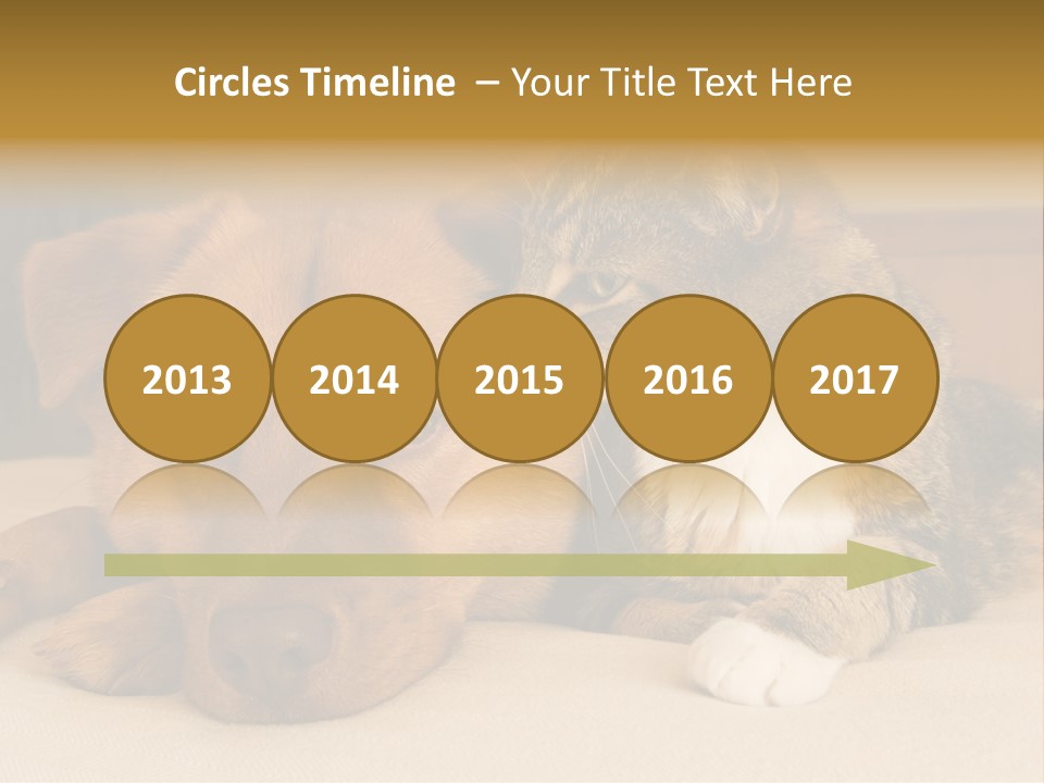 Cat And Dog Resting Together On Bed PowerPoint Template