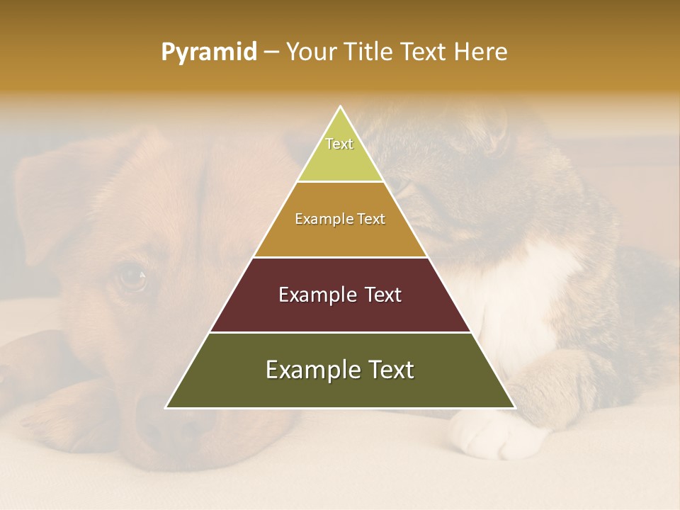 Cat And Dog Resting Together On Bed PowerPoint Template