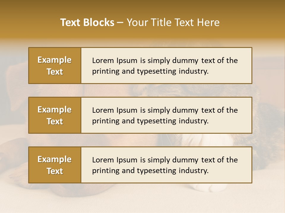 Cat And Dog Resting Together On Bed PowerPoint Template