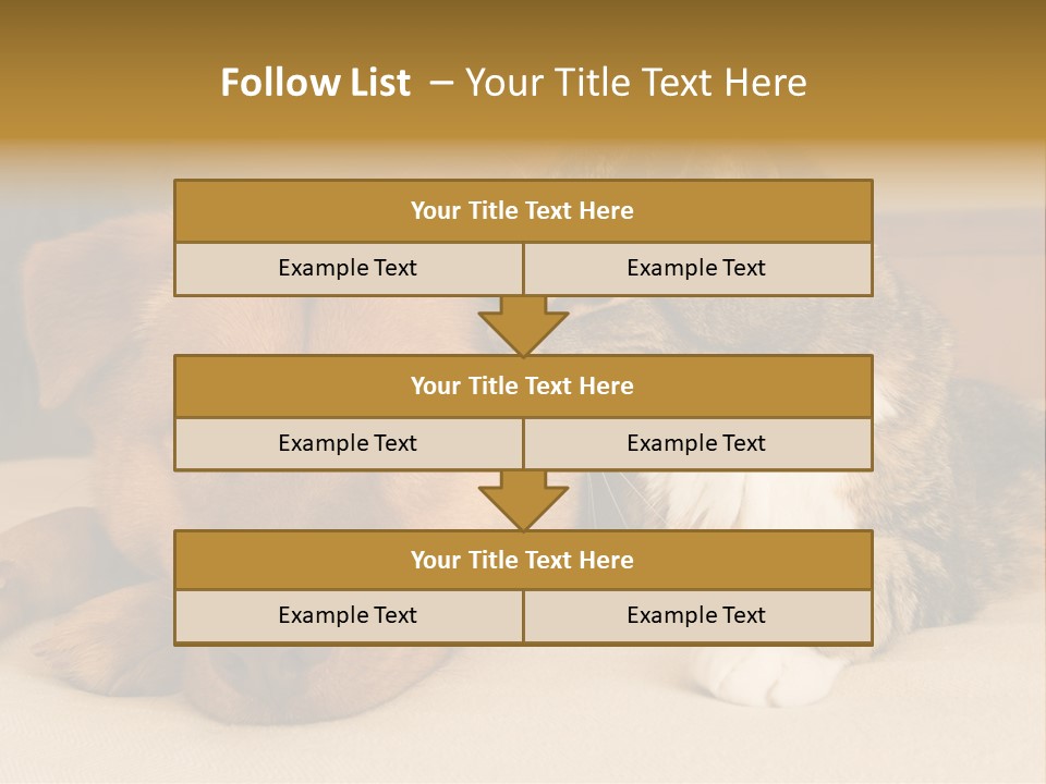 Cat And Dog Resting Together On Bed PowerPoint Template