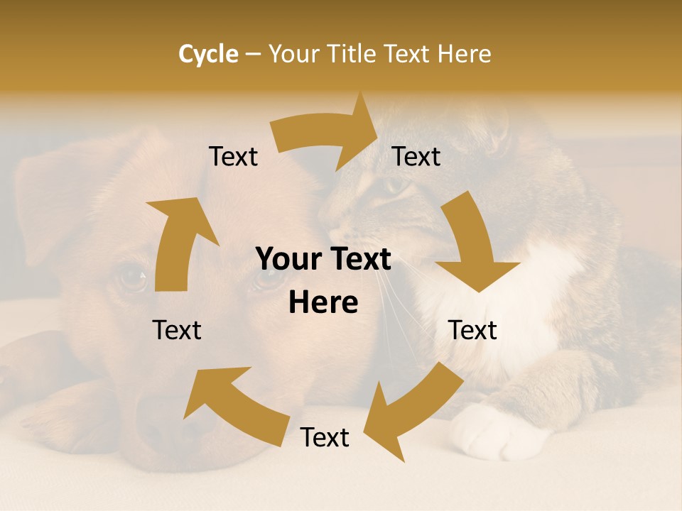 Cat And Dog Resting Together On Bed PowerPoint Template