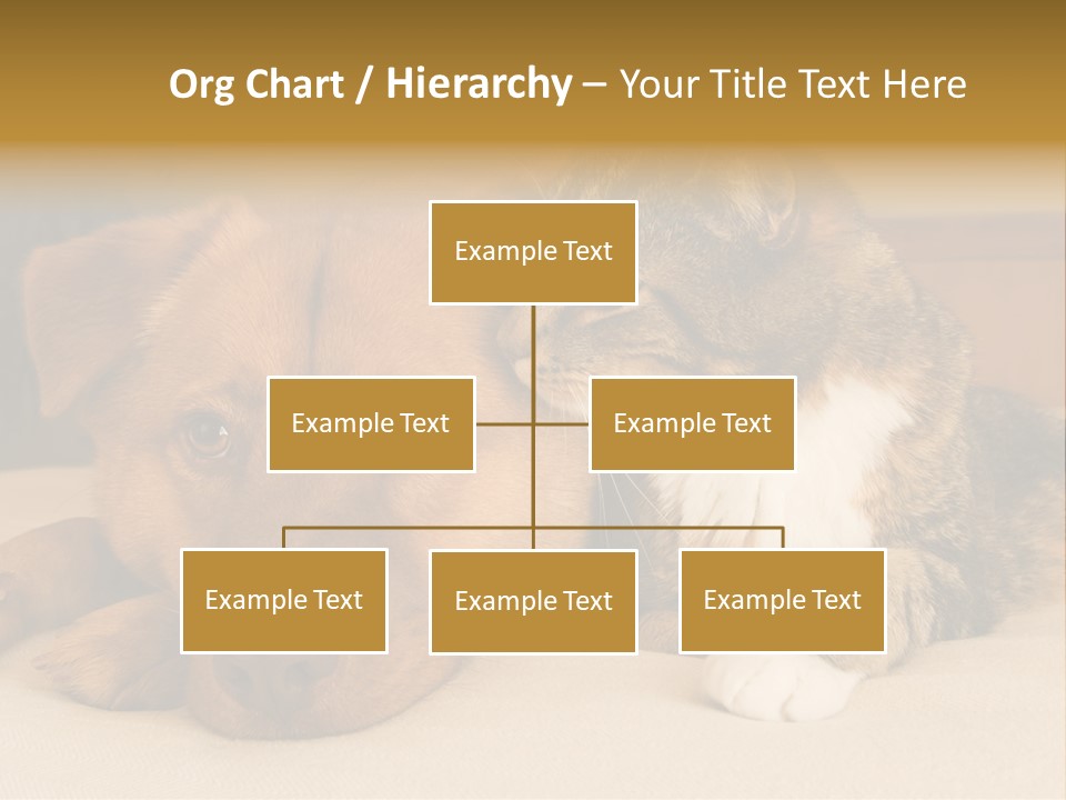 Cat And Dog Resting Together On Bed PowerPoint Template