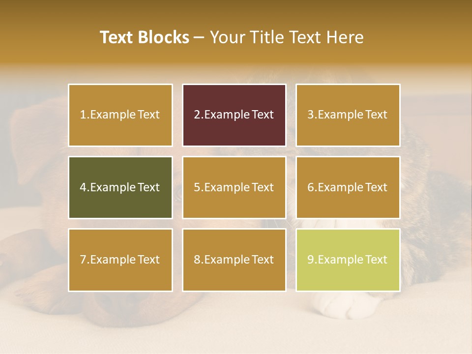 Cat And Dog Resting Together On Bed PowerPoint Template