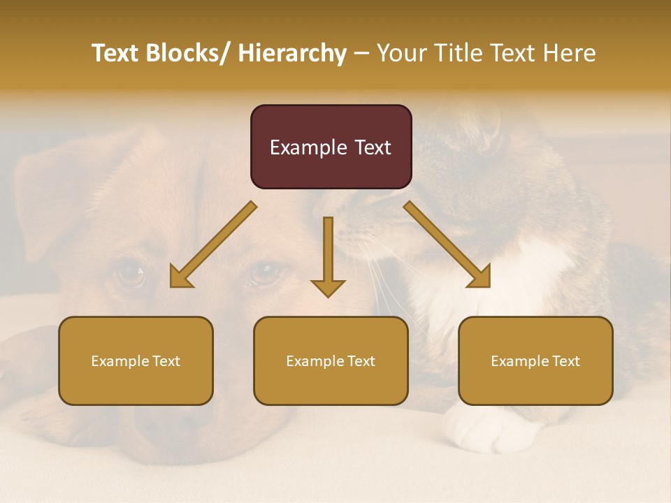 Cat And Dog Resting Together On Bed PowerPoint Template