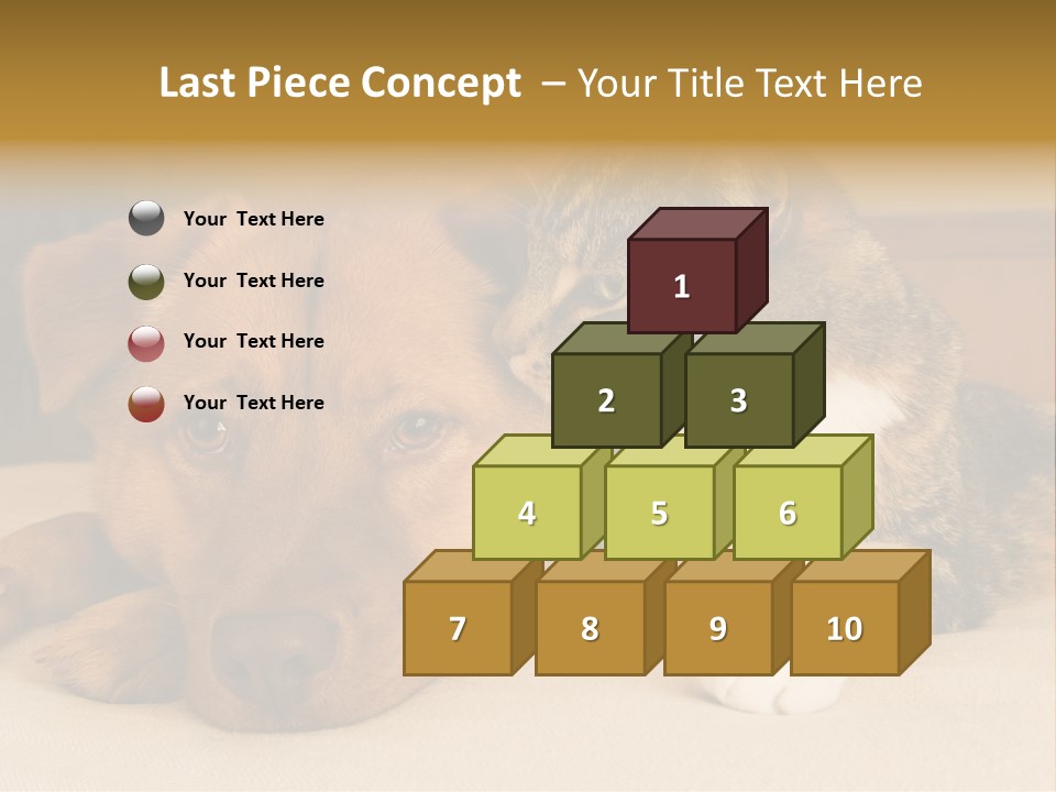 Cat And Dog Resting Together On Bed PowerPoint Template