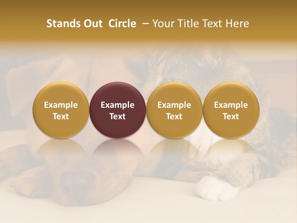 Cat And Dog Resting Together On Bed PowerPoint Template