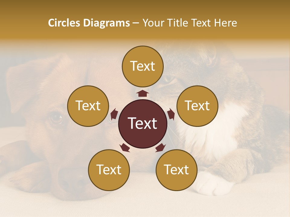 Cat And Dog Resting Together On Bed PowerPoint Template