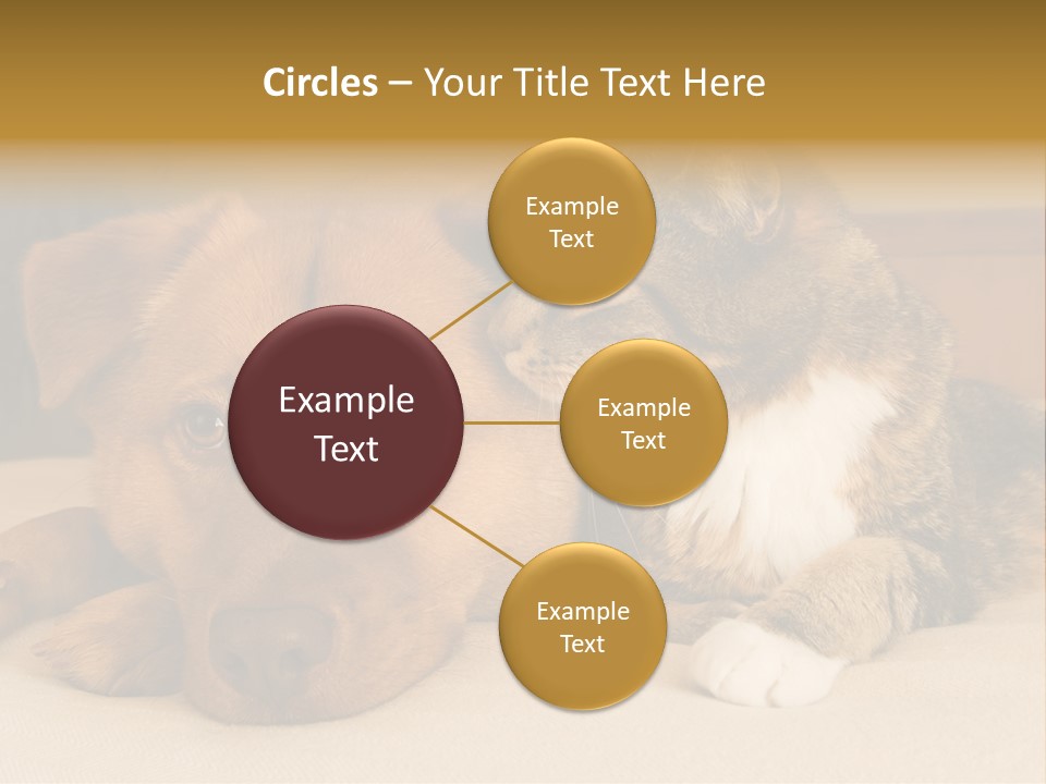 Cat And Dog Resting Together On Bed PowerPoint Template