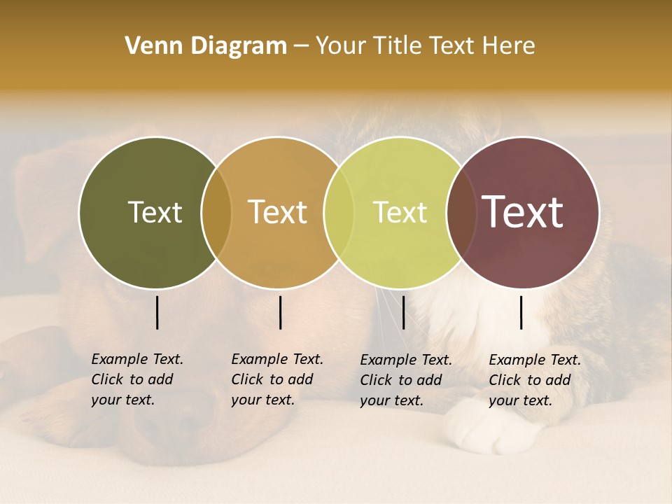 Cat And Dog Resting Together On Bed PowerPoint Template