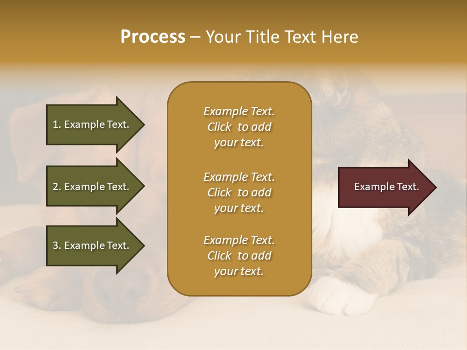 Cat And Dog Resting Together On Bed PowerPoint Template