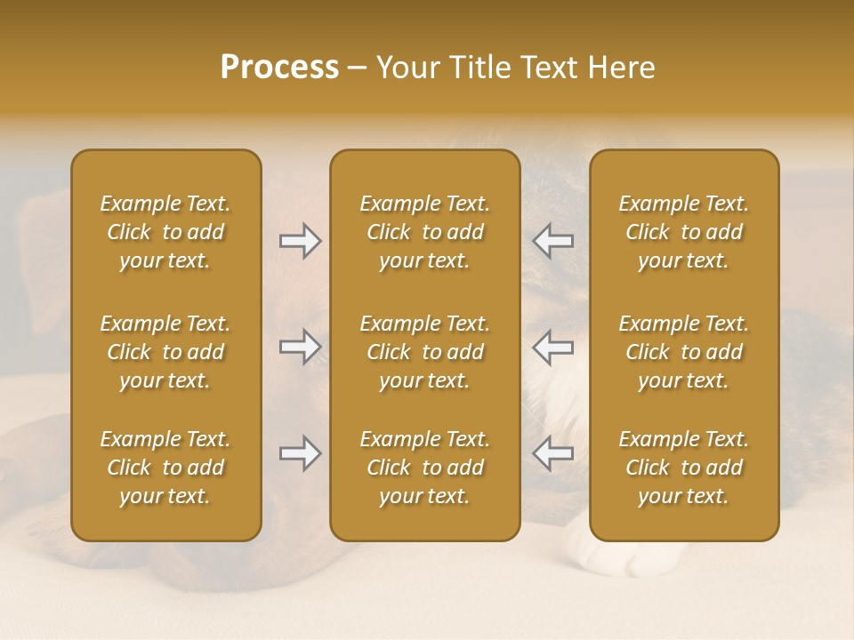 Cat And Dog Resting Together On Bed PowerPoint Template