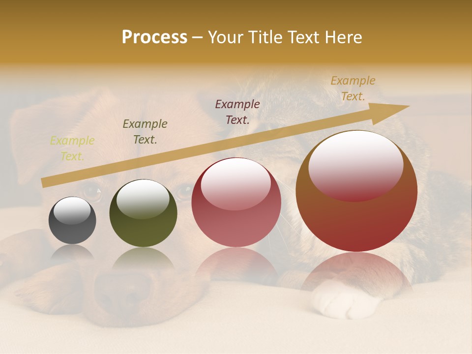 Cat And Dog Resting Together On Bed PowerPoint Template