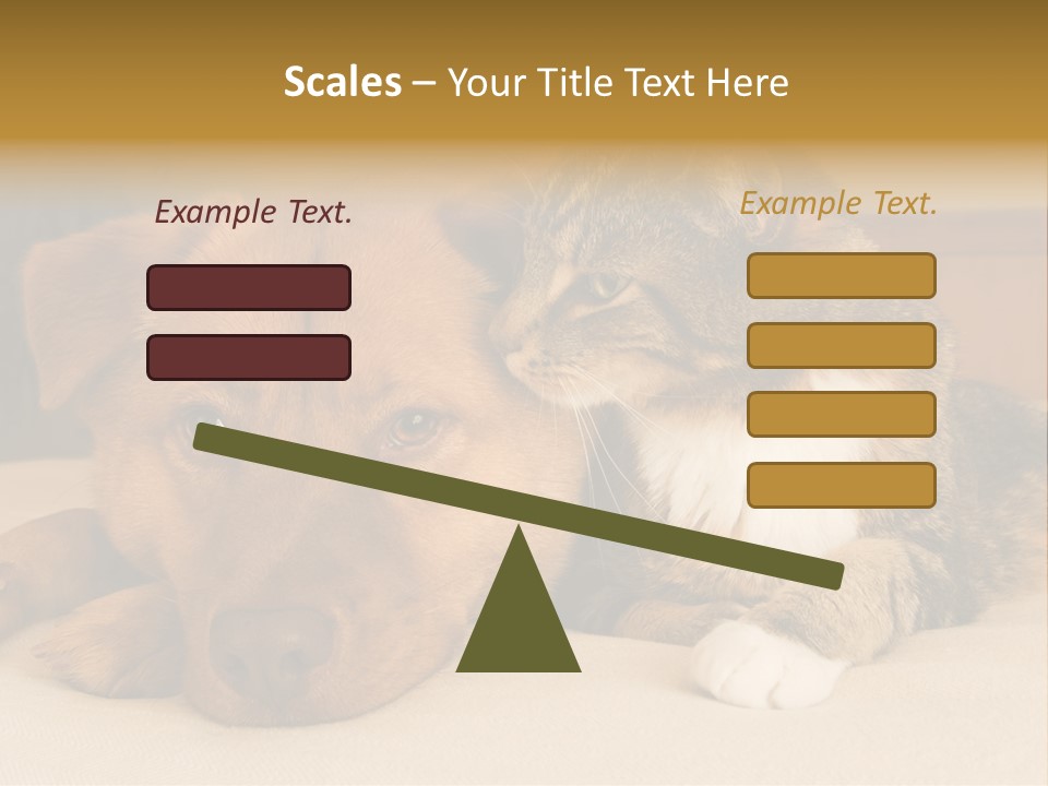 Cat And Dog Resting Together On Bed PowerPoint Template