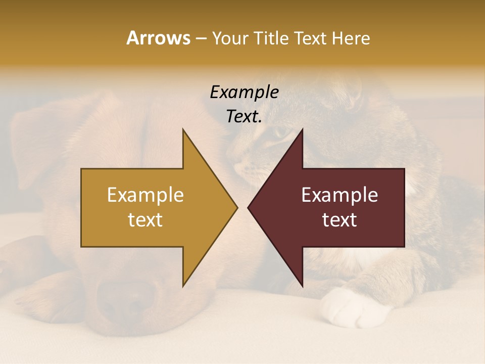 Cat And Dog Resting Together On Bed PowerPoint Template