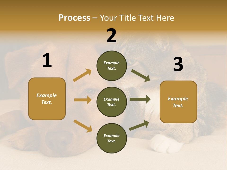 Cat And Dog Resting Together On Bed PowerPoint Template