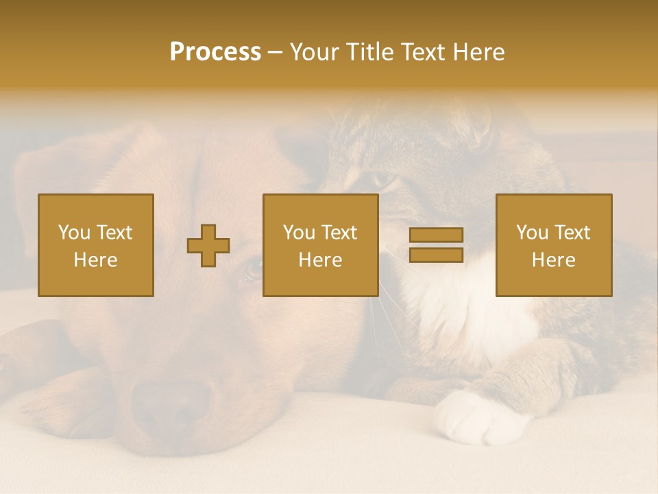 Cat And Dog Resting Together On Bed PowerPoint Template