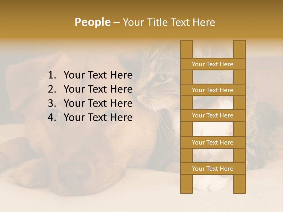 Cat And Dog Resting Together On Bed PowerPoint Template