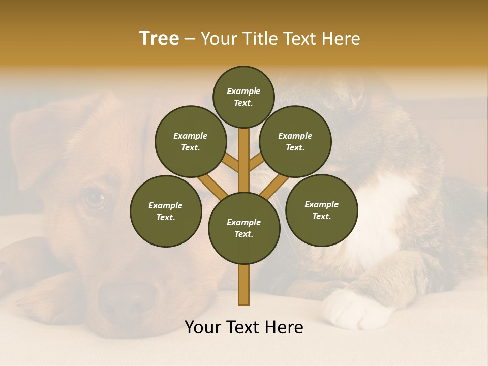 Cat And Dog Resting Together On Bed PowerPoint Template