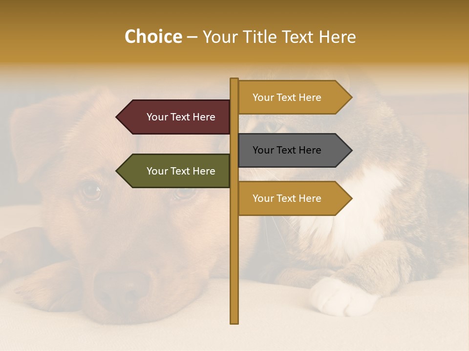 Cat And Dog Resting Together On Bed PowerPoint Template