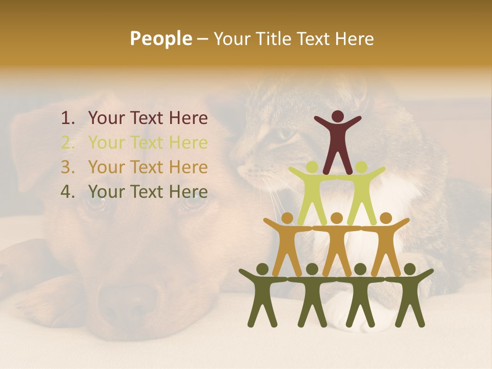 Cat And Dog Resting Together On Bed PowerPoint Template