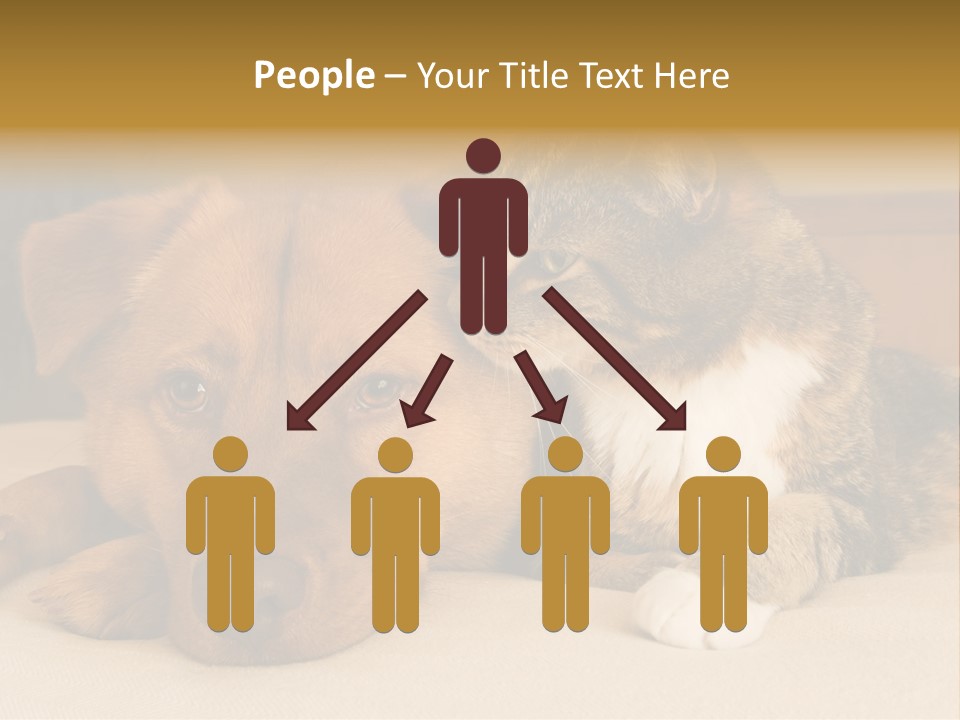 Cat And Dog Resting Together On Bed PowerPoint Template