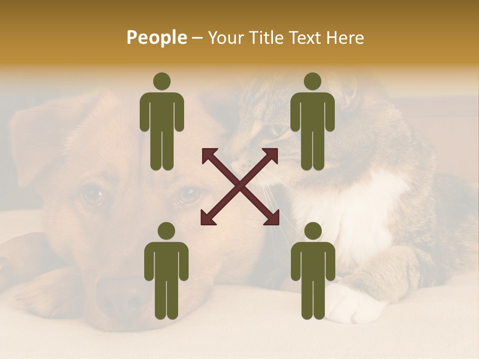 Cat And Dog Resting Together On Bed PowerPoint Template