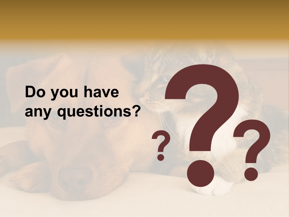 Cat And Dog Resting Together On Bed PowerPoint Template