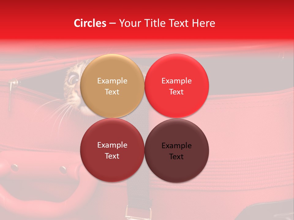 Cat In A Suitcase PowerPoint Template