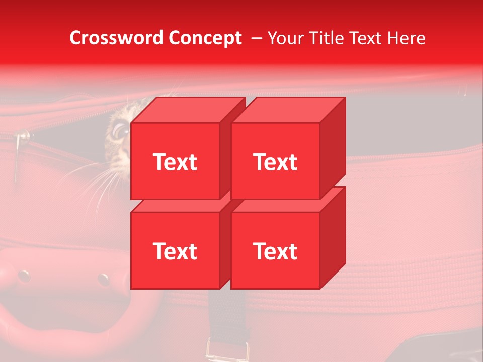 Cat In A Suitcase PowerPoint Template