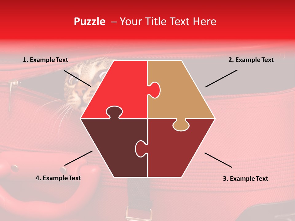 Cat In A Suitcase PowerPoint Template