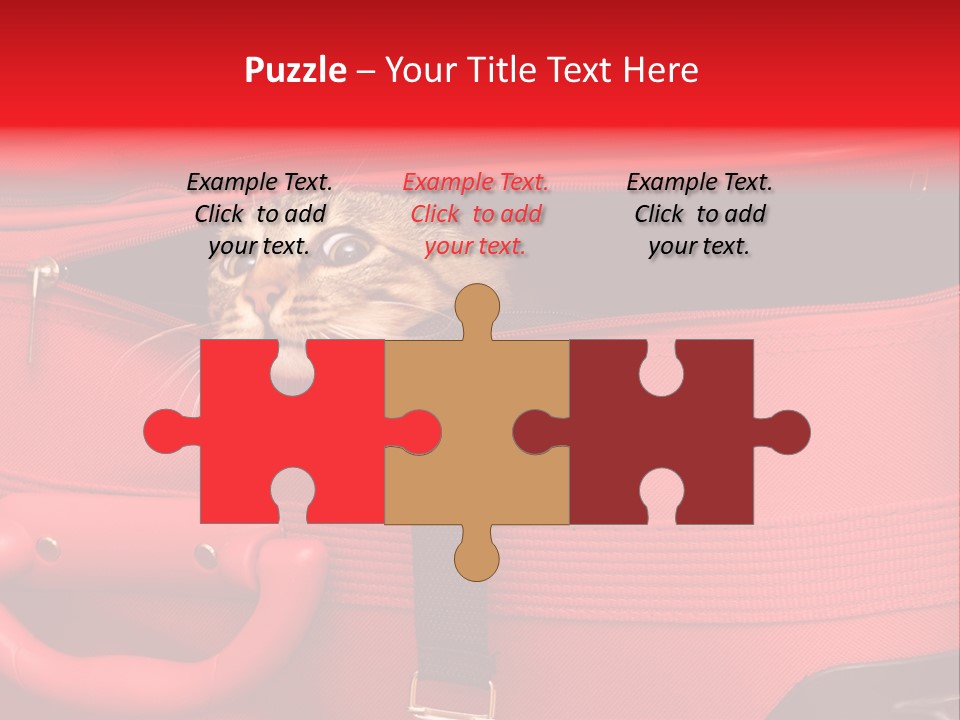 Cat In A Suitcase PowerPoint Template