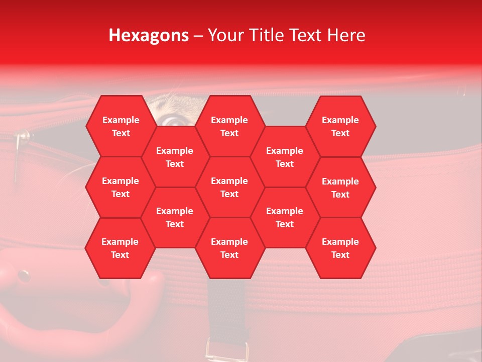 Cat In A Suitcase PowerPoint Template