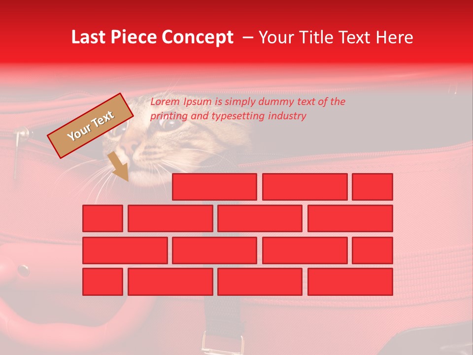 Cat In A Suitcase PowerPoint Template