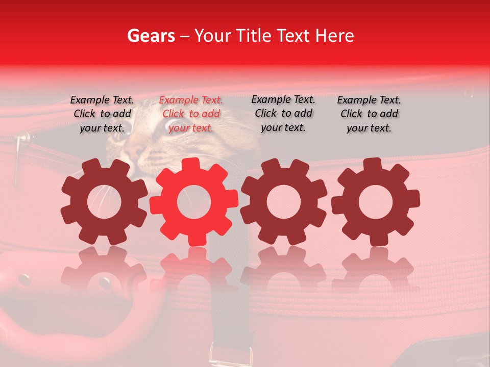 Cat In A Suitcase PowerPoint Template