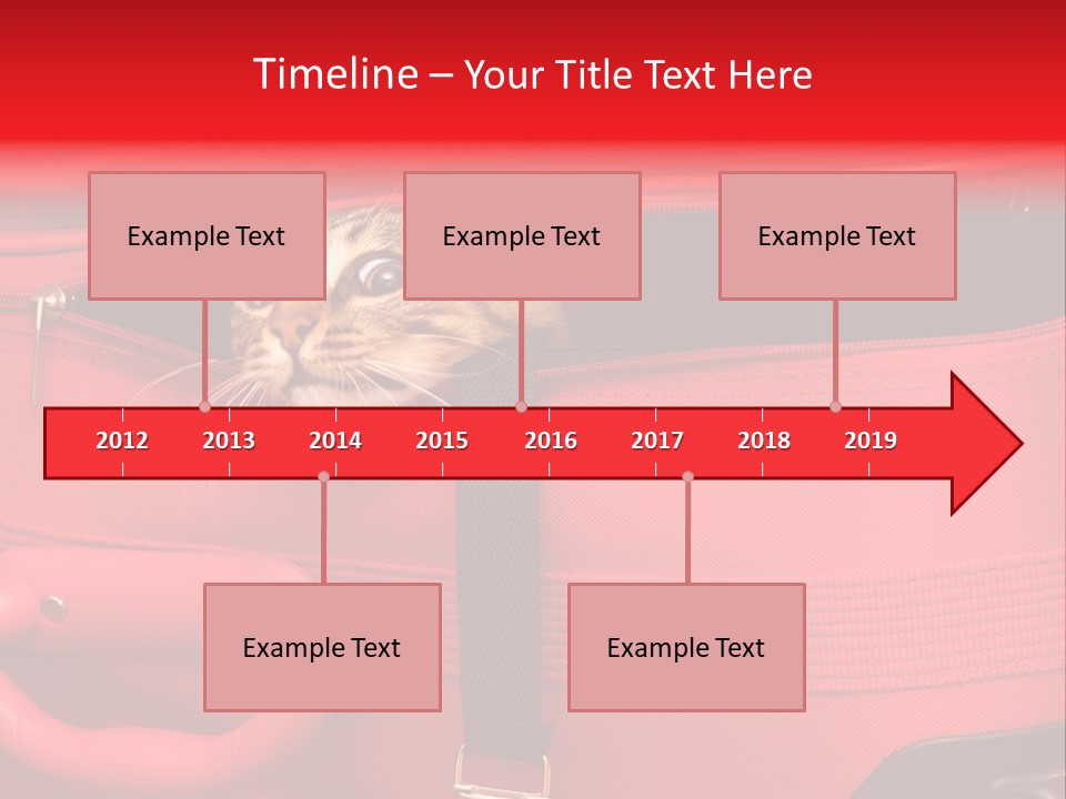 Cat In A Suitcase PowerPoint Template