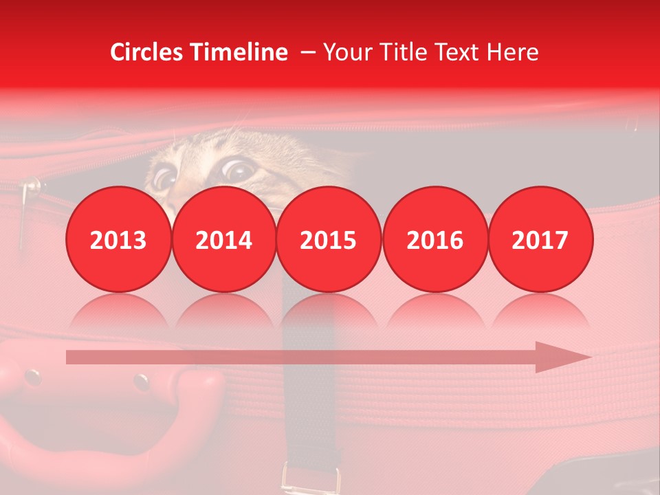 Cat In A Suitcase PowerPoint Template