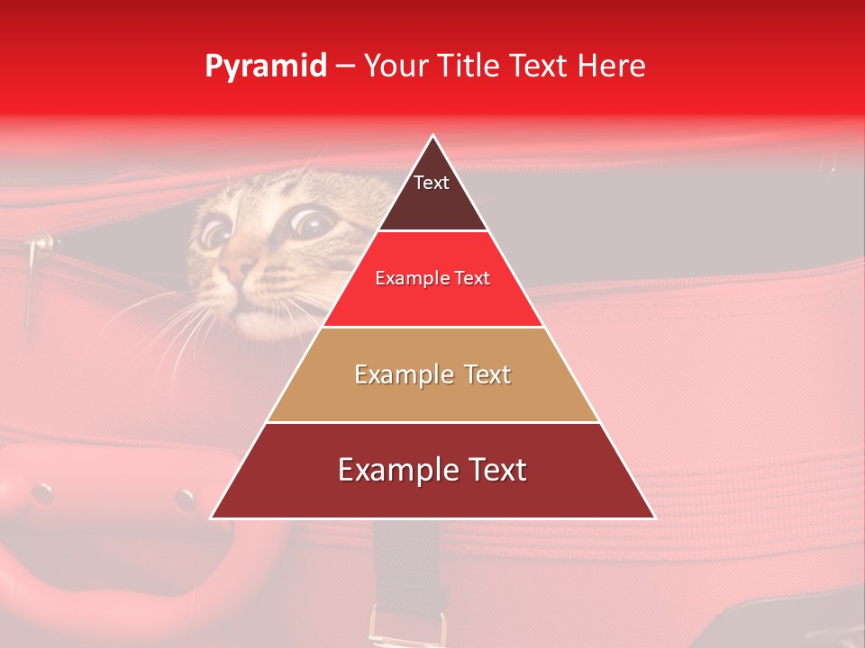 Cat In A Suitcase PowerPoint Template