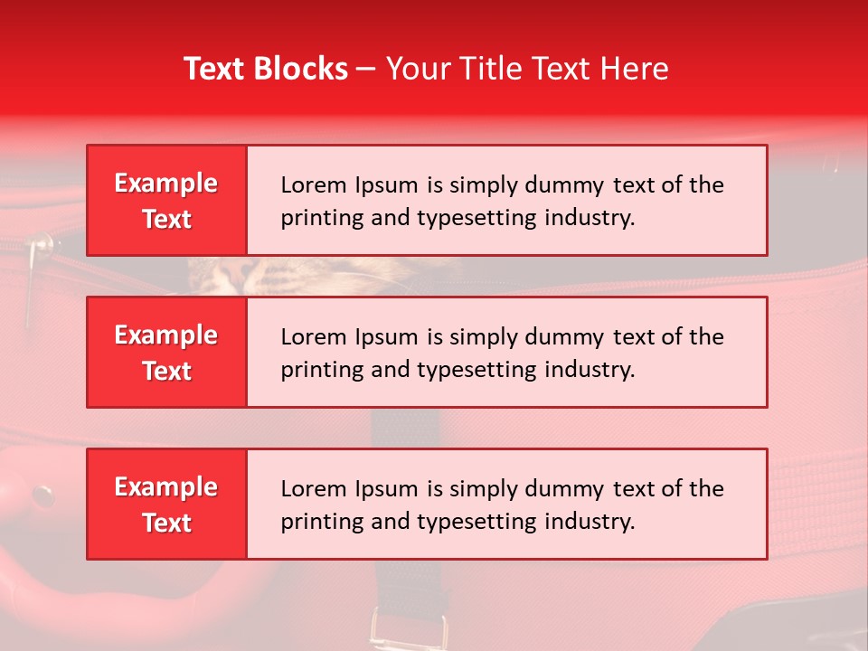 Cat In A Suitcase PowerPoint Template
